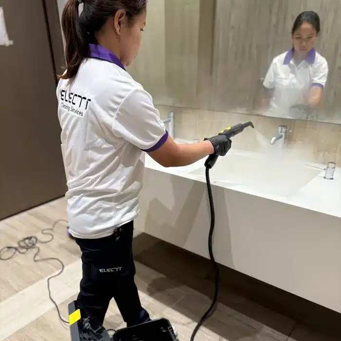 Steam cleaners for&nbsp;chemical-free dirt removal